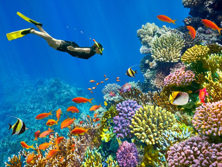 ЕКСКЛУЗИВНИ ОТСТЪПКИ - Почивка в Шарм ел Шейх, Египет със самолет от София - 7 нощувки